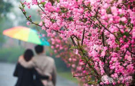 史上最全的养花秘籍 真没吹！史上最全的拍花技术合集（樱花、桃花、油菜花等）
