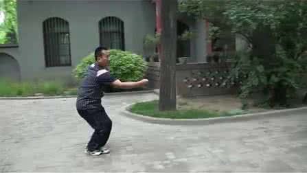 车派形意拳 车氏形意五行拳