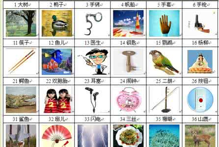 超右脑快速记忆法训练 超右脑快速记忆九大记忆训练