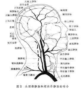 宝宝做脑循环有效吗 脑循环