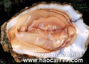 河蚌怎么做好吃 河蚌 河蚌怎么吃