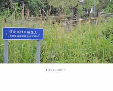 什么颜色代表夏天 夏天是什么颜色