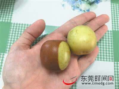 糖精枣 教你如何辨别“糖精枣”~！