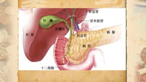 肺栓塞的护理 隐匿的杀手——肺栓塞