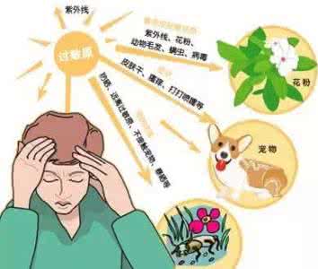 如何应对花粉过敏 教您四招应对花粉过敏