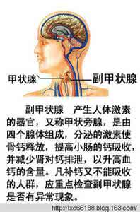 人体骨骼全图 【收藏有益】史上最全的人体全图（一）【骨骼全图 ,人体肌肉全图,人体系统全图,人体器官全图...