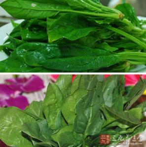 毛孔清洁器有用吗 菠菜能清洁毛孔吗