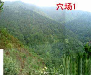 寻龙探讨  点穴练习