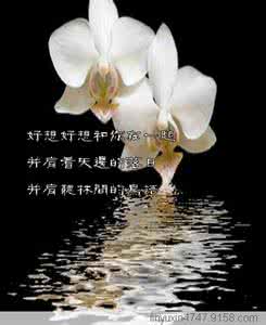 真的好想和你在一起 真的好想和你在一起【情感心语】