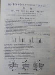 高三下学期生物学什么 山东省济南市2012届高三下学期2月月考生物试题