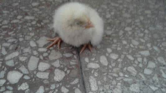 单个的人是软弱无力的 左腿软弱无力是怎么了?