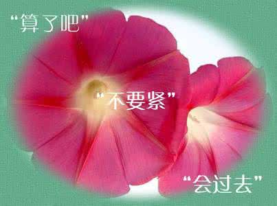 心烦的时候记住三句话 心烦的时候记住这三句话!