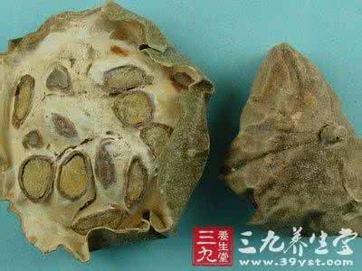 化脓性乳腺炎 外科方剂 治疗化脓性乳腺炎中药方剂