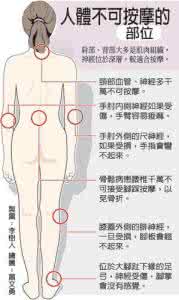 男性生殖部位按摩视频 人体各部位按摩系列讲座--视频