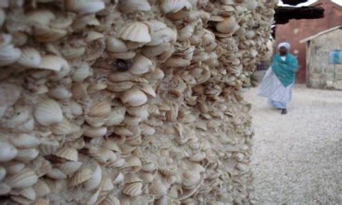 像素生存者2怪物贝壳 贝壳是怎么样生的?