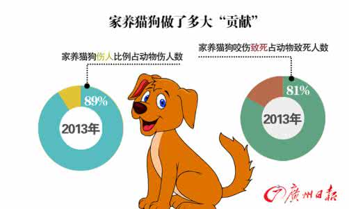 狂犬病误区 狂犬病4个误区的正确解读