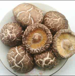 天气潮湿闷热如何防止食物发霉