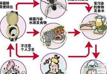 引起霍乱的主要因素是 霍乱大多由这些原因引起