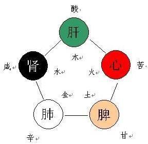 纳音五行巧记口诀 巧用食物的五行养生
