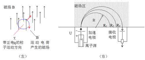 带电粒子在磁场中运动 磁场中带电粒子的回旋型运动赏析