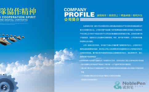 天下一电影公司简介 公司简介(一)