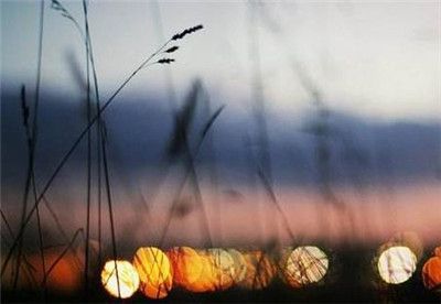 往事随风 让往事随风飞【情感美文】