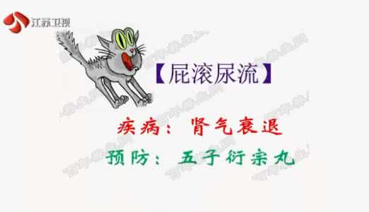 雷诺氏病 20160815万家灯火视频和笔记:佟彤,早衰,肾虚,雷诺氏综合征