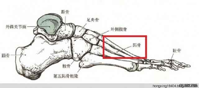 经筋骨口诀 骨论命口诀