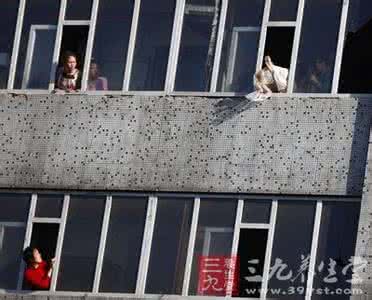 悲观厌世 悲观厌世 复旦大学生厌世跳楼身亡 悲观厌世怎么办