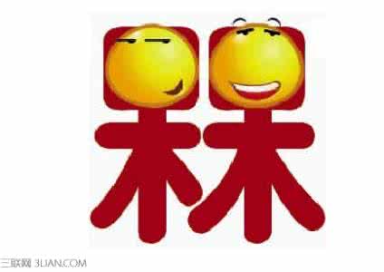 槑是什么意思 槑是什么意思 槑怎么读