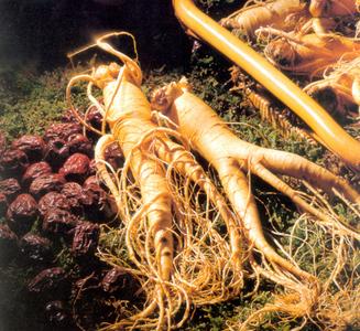 七种食物功效赛人参 堪比人参的 8种食物功效堪比人参,孩子吃了身体棒、少生病!