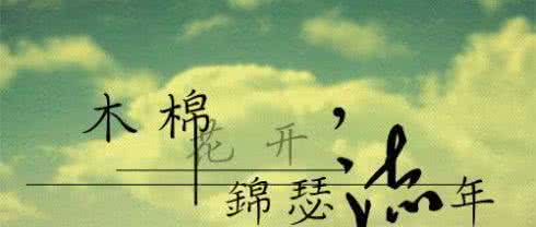 聊将锦瑟记流年 锦瑟流年二十一