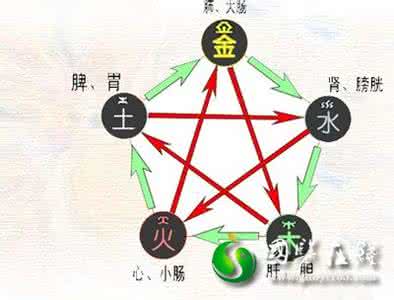 五脏六腑排毒时间 五脏排毒法横扫体内垃圾 教你轻松做无“毒”女人