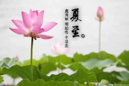 夏至三庚数头伏 夏至三庚数头伏是什么意思 夏至三庚数头伏