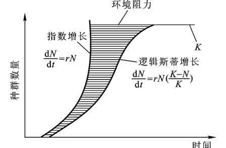 环境容纳量 环境容纳量 容纳我们的身材,更具包容性,穿出时尚潮流!