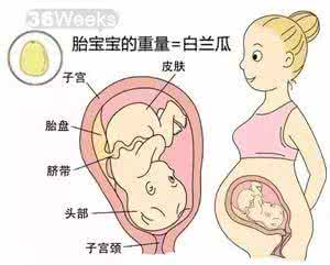 妇产科历史 14斤巨婴，吓坏产科医生！史上最全孕40周胎儿发育标准，赶紧收藏！