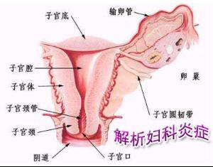 女人白带发黄 女人的白带多而黄，按“至阴穴”有奇效