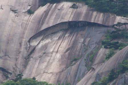 俄眉毛峰 眉毛峰