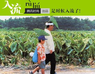 一条突然失去梦想的鱼 突然失去的夏天