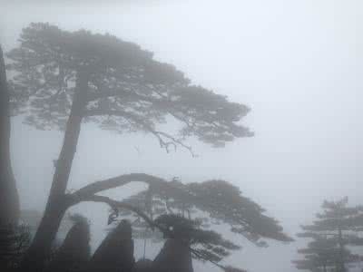 黄山下雨可以爬山吗 黄山下雨可以爬山吗 黄山下雨就会有雾吗？