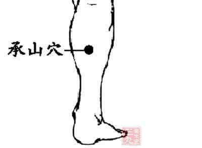 常揉1个穴位治便秘取穴方法