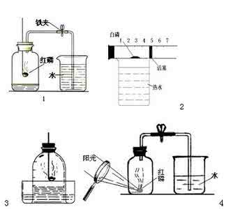 楼板层通常由 组成 带轮通常由什么组成？