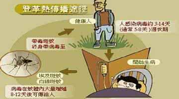 小儿高热惊厥首选药物 高热不退特效方