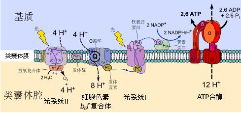 传递过程文库 传递过程