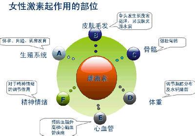 雌激素的生理功能是 雌激素的作用 雌激素有怎么样的功能