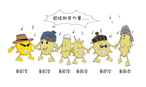 肥胖类型及减肥方法 肥胖的原因 5大肥胖类型对症减肥方案