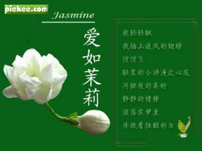 温暖心灵的情感美文 柔柔的泪,柔柔的情【情感美文】