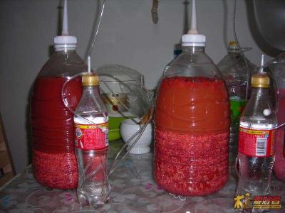 酿酒成本 2元成本的酿酒自动排气系统（中国木工爱好者论坛古老才帖）