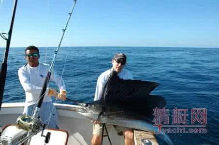 海钓黑鲷位置怎么选择 春海钓位选择