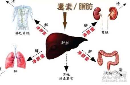 如何养肝护肝排毒 肝是“排毒工厂”，不养肝毒素堆成山~（附排毒方）